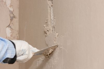 Painting & Wall Repairs